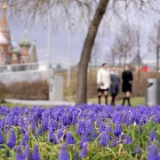 Топ-10 лучших событий на выходные 6 и 7 апреля в Москве 2024