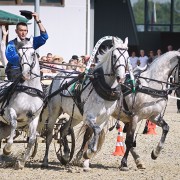 Чемпионат русских троек «Крылатое сердце России» 2024
