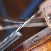 Выставка «Тайны скрипичного леса»