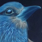 Выставка «Исчезающая красота России»