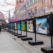Выставка «Доминиканская республика: сокровище Карибского моря»