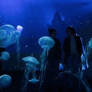 Интерактивная мультимедийная выставка «Океан юрского периода»
