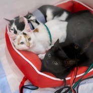 Фото: yunacenter.ru