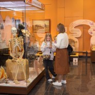 Фото: darwinmuseum.ru