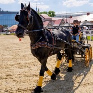 Чемпионат и Первенство Москвы по драйвингу 2023 фотографии