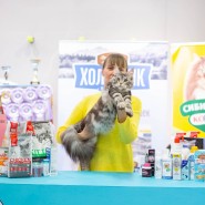 Международная выставка кошек «Ёжкин кот» в ТРЦ «Гагаринский» 2025 фотографии