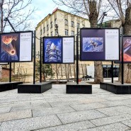 Фото: пресс-служба парка «Горка»