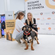 Фестиваль «Собаки, которые любят» 2023 фотографии