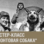 Онлайн-программа Музея Победы о подвигах фронтовых собак фотографии