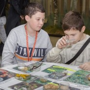 Фото: darwinmuseum.ru