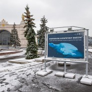 Фотовыставка «Открываем Антарктику вместе» фотографии