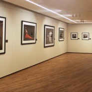 Выставка «Высокий полет Мелвина Соколски» фотографии