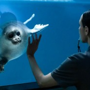 Фото: moskvarium.ru