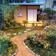 Выставка «Японский сад, Царство мхов и новогодние растения» фотографии