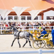 Чемпионат и Первенство Москвы по драйвингу 2024 фотографии