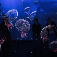 Интерактивная мультимедийная выставка «Океан юрского периода» фотографии
