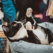 Фото: yunacenter.ru