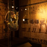 Выставка «Сокровища гробницы Тутанхамона» фотографии