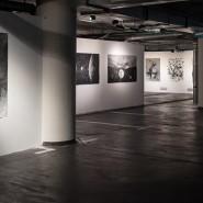 Выставка «PROКОСМОС» фотографии