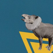 Выставка достижений коллажного хозяйства фотографии