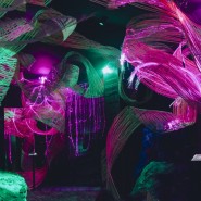 Иммерсивная мультимедиа выставка «SENSE. Почувствуй стихии» фотографии