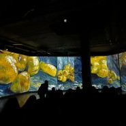 Мультимедийная выставка «Ван Гог // Ожившие полотна» фотографии