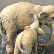 Фото: darwinmuseum.ru