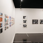 Выставка «Движущиеся картинки» фотографии