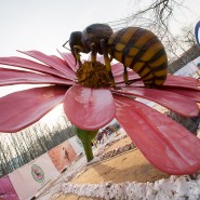 Парк гигантских насекомых на ВДНХ фотографии