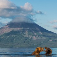 Выставка «Best of Russia — лучшие фотографии России 2016» фотографии