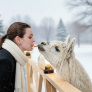 Новый год 2026 в Альпака Парке Сокольники фотографии