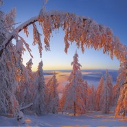 Фестиваль «Первозданная Россия» 2017 фотографии