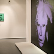 Выставка «Коллекция Fondation Louis Vuitton. Избранное» фотографии