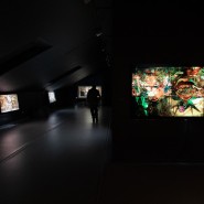 Выставка «Метафизические зеркала Худякова» фотографии