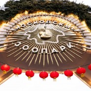 Фото: vk.com/moscow_zoo