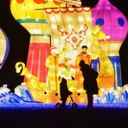 Фестиваль волшебных китайских фонарей в парке «Сокольники» 2019/2020 фотографии
