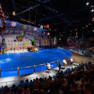 Фото: kosheyshow.ru