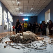 Выставка «Хаим Сокол. В некотором смысле я становлюсь ими, а они мной» фотографии
