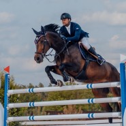Новые открытия в мире конного спорта — Horseka Derby 2024 фотографии