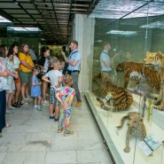 Фото: darwinmuseum.ru