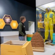 Всемирный день пчел на ВДНХ 2019 фотографии
