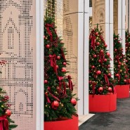 Каток на Царской набережной музея-заповедника «Коломенское» 2025-2026 фотографии