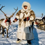 Рождество в Таганском парке 2018 фотографии