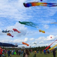 Фестиваль воздушных змеев «Пёстрое небо» 2023 фотографии