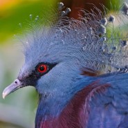 Фото: darwinmuseum.ru