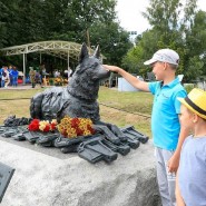 День фронтовой собаки в Музее Победы 2020 фотографии