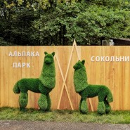 Осенние каникулы в Альпака Парке Сокольники фотографии