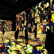 Мультимедийная выставка «Искусство Японии: от Хокусая до современности» фотографии