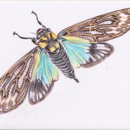 Фото: darwinmuseum.ru