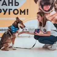 Фестиваль «Собаки, которые любят» 2023 фотографии
